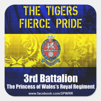 6 x 3 PWRR Square Sticker