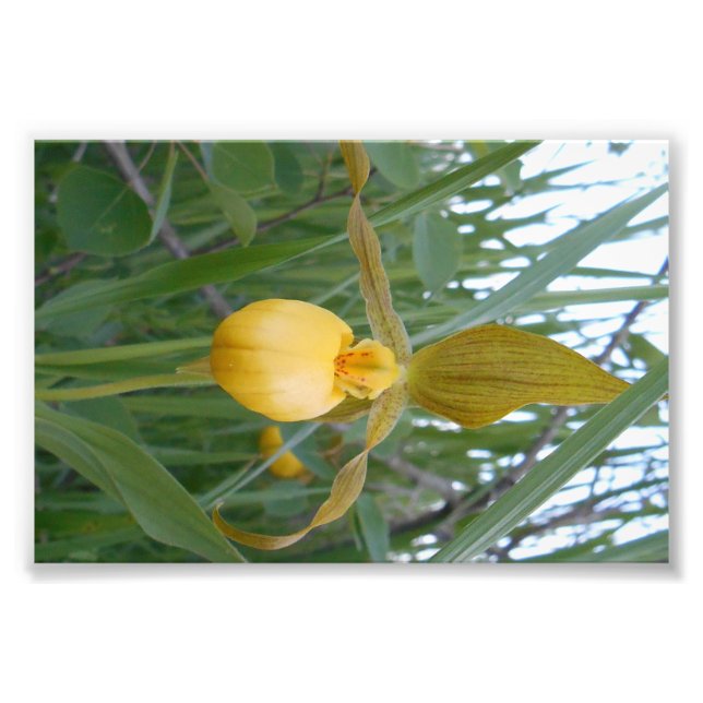 6 x 4 Foto drucken (Vorne)