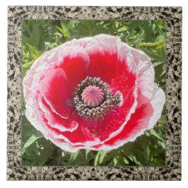 6" x 6" Keramik Tile mit Rot und Weiß Mohn Fliese