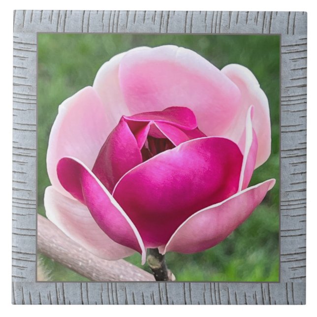 6"x 6" Keramik Tile mit wunderschöner Magenta Magn Fliese (Vorderseite)