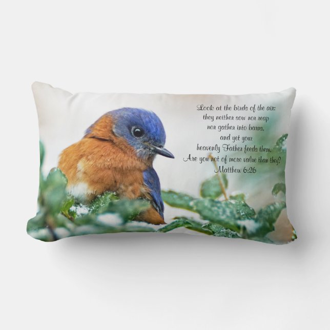 6h26 lombaire de Matthew de coussin d'oiseau bleu (Recto)