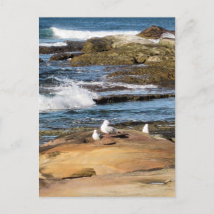 #7001 Carte postale de la plage