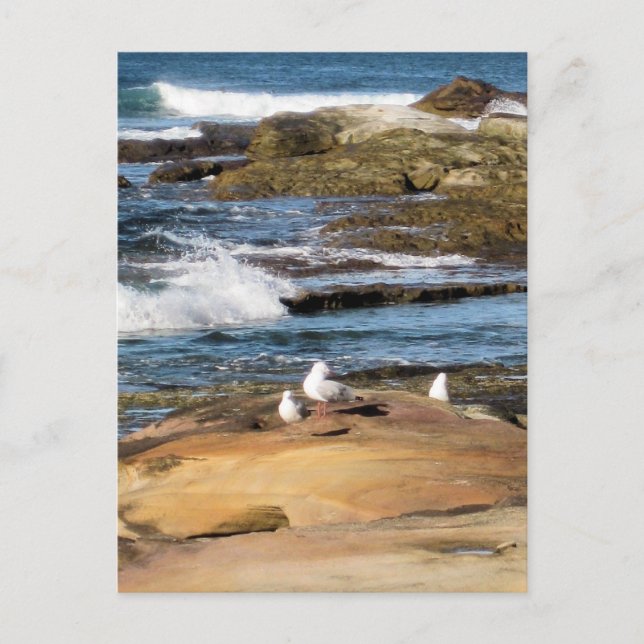 #7001 Carte postale de la plage (Devant)