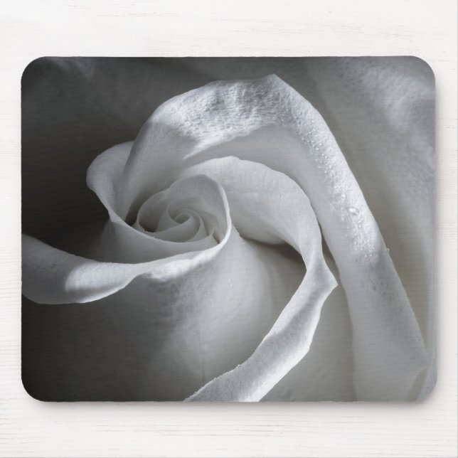 7181-Weiße Rose mit Taub Mousepad (Vorne)