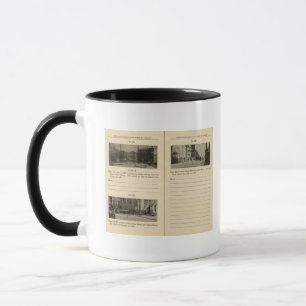 73941 Albany Tasse