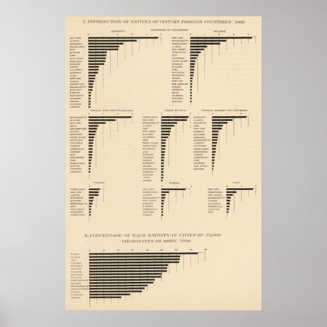 73 Einheimische bestimmter Länder Poster (Vorne)