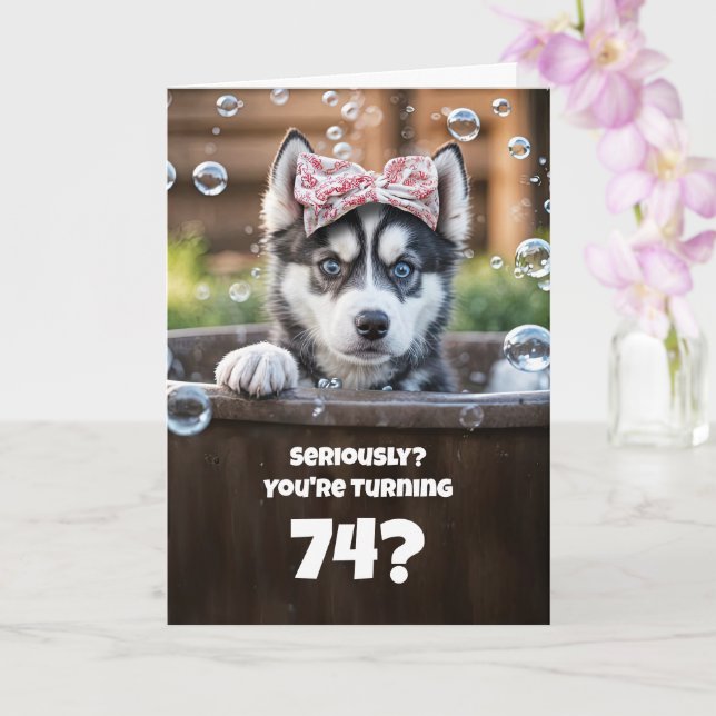 74th Funny Husky Bath Cute Birthday Karte (Orchidee)