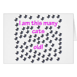 76 têtes de chat vieilles