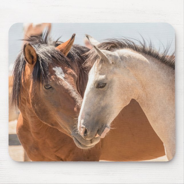 7911-Two Wild Mustangs Mousepad (Vorne)