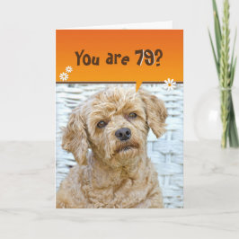 79. Geburtstag braunes Poodle auf Korbweide Karte