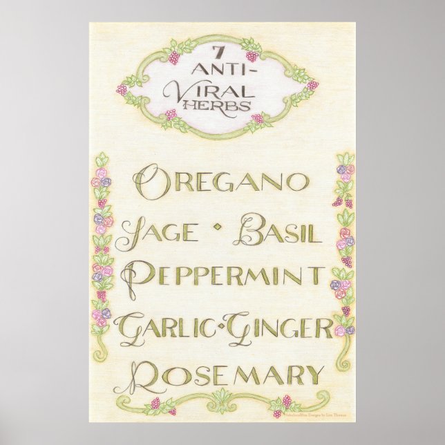 7 Anti-Viral Herbs Poster (Vorne)
