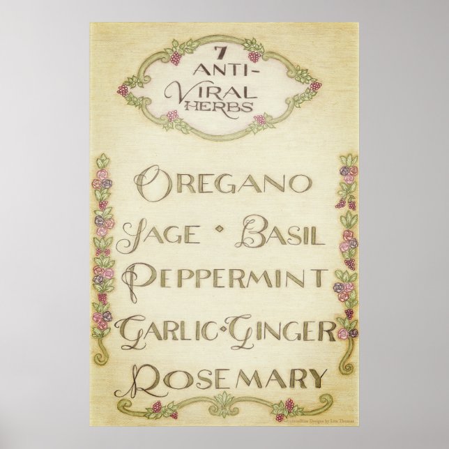 7 Anti-Viral Kräuterposter (Vintag) Poster (Vorne)