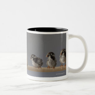 7 Baby-Haustier-Hühner auf einer Stange Zweifarbige Tasse