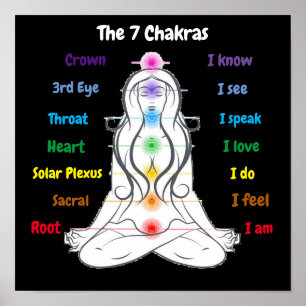 7 Chakras 12x12" Poster