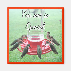 7 Kolibris fertigen besonders an Magnet