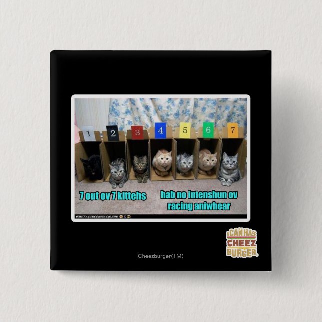 7 out ov 7 Kitten Button (Vorderseite)