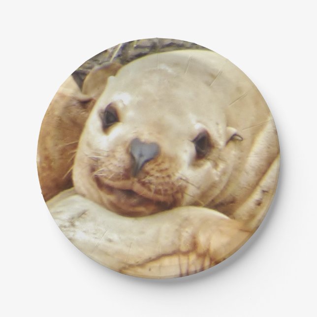 7" Papierplatte mit Siegel Pappteller (Vorderseite)