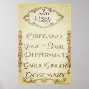 7 Poster d'herbes antivirales (Vintage)
