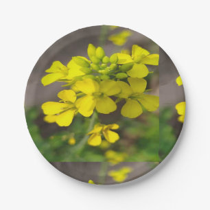 7" Rundpapierplatte mit gelber Blume Pappteller