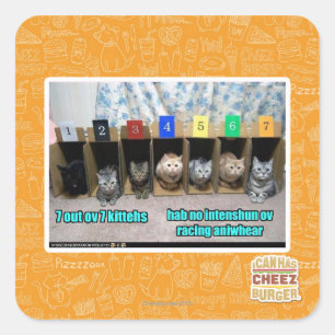 7 vor 7 Kätzchen Quadratischer Aufkleber