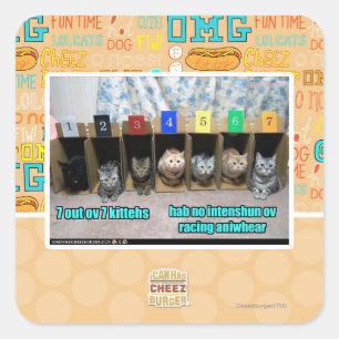 7 vor 7 Kätzchen Quadratischer Aufkleber