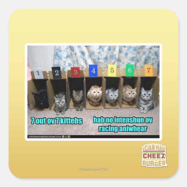 7 vor 7 Kätzchen Quadratischer Aufkleber (Vorderseite)