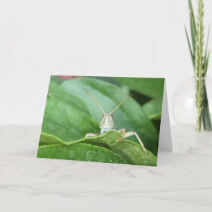 7"x5" Faltkarte   Grasgrün Karte
