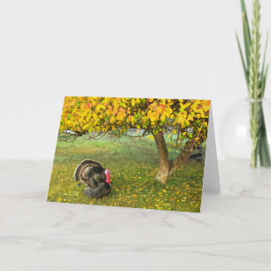 7"x5" Faltkarte   Türkei unter dem Baum Karte