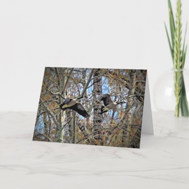 7"x5" Faltkarte | Zwei Gänse Karte (Vorderseite)
