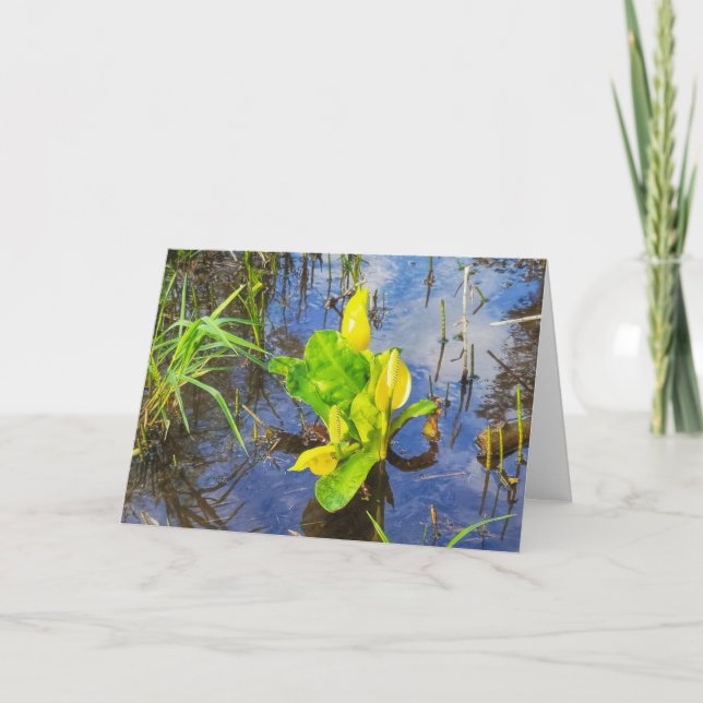 7"x5" Folgekarte Karte| Skunk Cabbage Karte (Vorderseite)