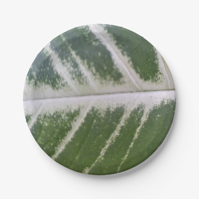 7 Zoll Atemberaubendes grünes Leaf mit zartem Weiß Pappteller (Vorderseite)