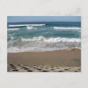 #8025 Plage  Carte postale