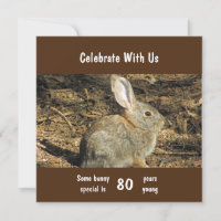 80 Jahre Junge Adorable Kaninchen Foto 80. Geburts