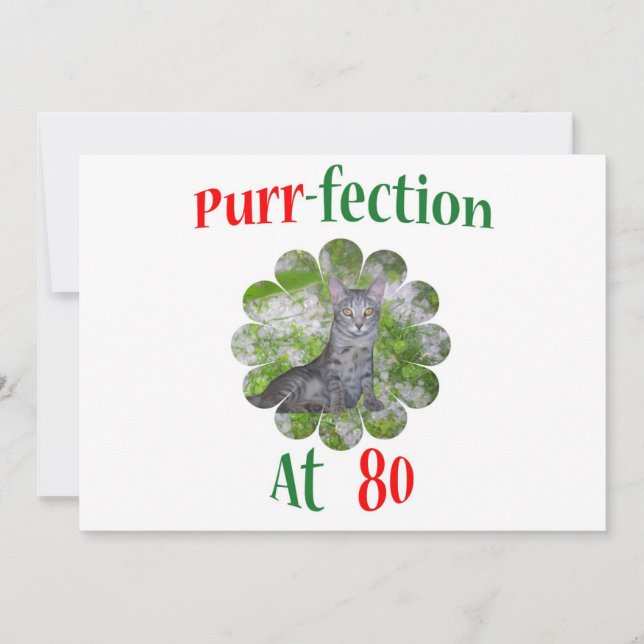 80 Purr-fektion (Vorderseite)