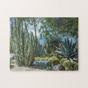 8393-Wüste Cactus Garden