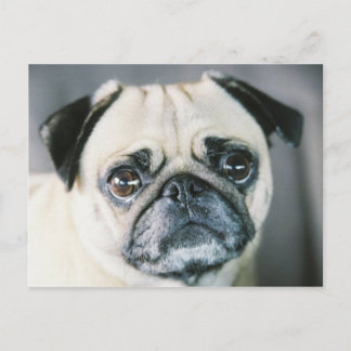 850203-R1-017-7 POSTKARTE