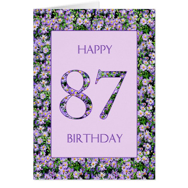 87. Geburtstag Lila Daisies (Vorne)