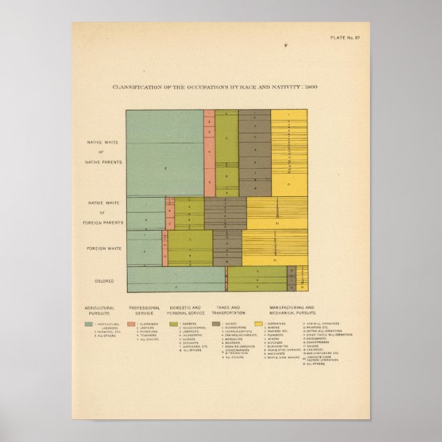 87 Occupations by race, nativity 1900 Poster (Vorne)