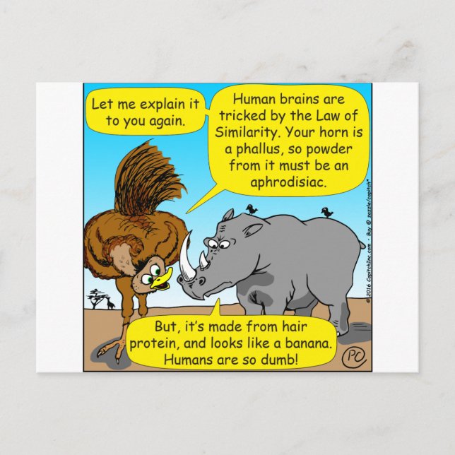 889 Rhino phallus Cartoon Postkarte (Vorderseite)