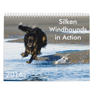 8 2016 seidenes Windhounds im Aktions-Kalender Kalender
