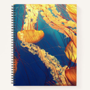 8,5" x 11" Spiralblock Notizbuch