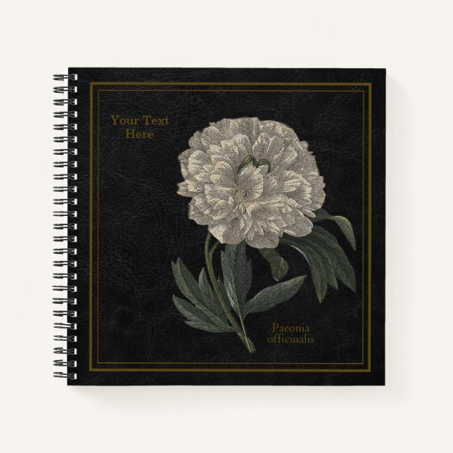 8,5x8,5" Paeonia Officinalis Black Notizbuch (Vorderseite)