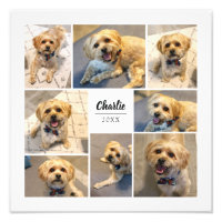 8 Collage photo Impression photo personnalisée