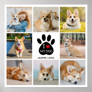 8 Foto Collage Herz I Liebe Mein Hund Poster