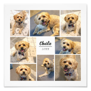8 Foto Collage Personalisiertes Foto Drucken