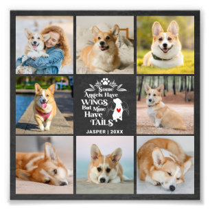 8 Foto Collage Pet Dog Loss Foto Erweiterung
