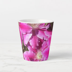 8. Jubiläum, Clematis Milchtasse