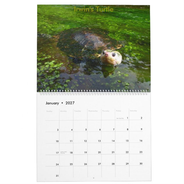 8-monatiger australischer kalender (Jan 2027)