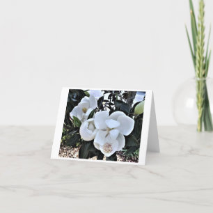 8 pack de cartes à fleurs de Magnolia