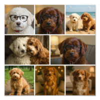 8 Photo Modèle Personnalisé Collage